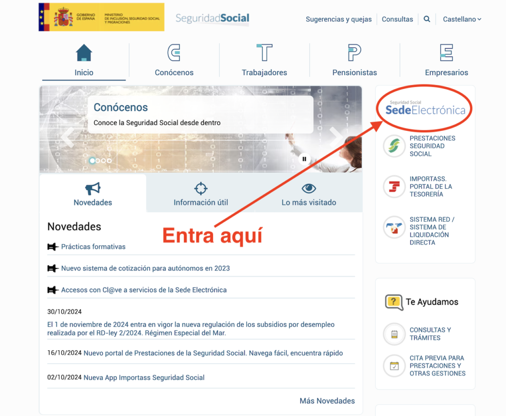 pantalla de inicio Seguridad Social